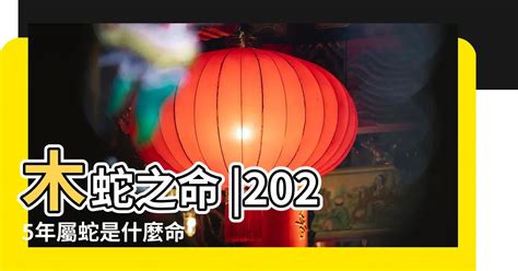 91屬什麼|【91年屬什麼】91年屬什麼生肖？姻緣配對、西元對照一把罩！